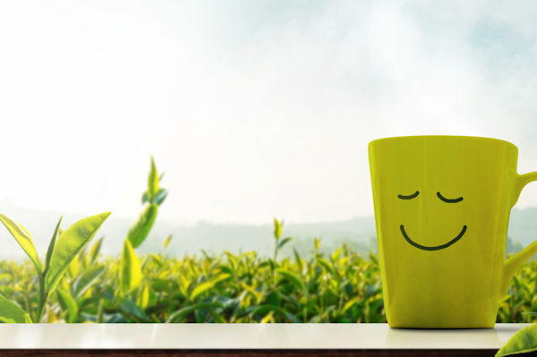 A Cup of Hot Tea with Smiley Face on Table in front of Green Tea Plantaion Farm, Mountain with Mist as background